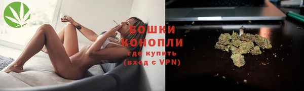 прущая мука Горняк
