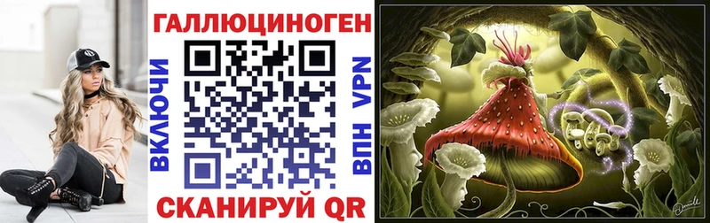 купить Гусиноозёрск Псилоцибиновые грибы Psilocybine cubensis