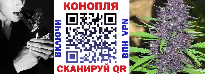 Бошки марихуана конопля  мориарти как зайти  Гусиноозёрск  KRAKEN рабочий сайт 